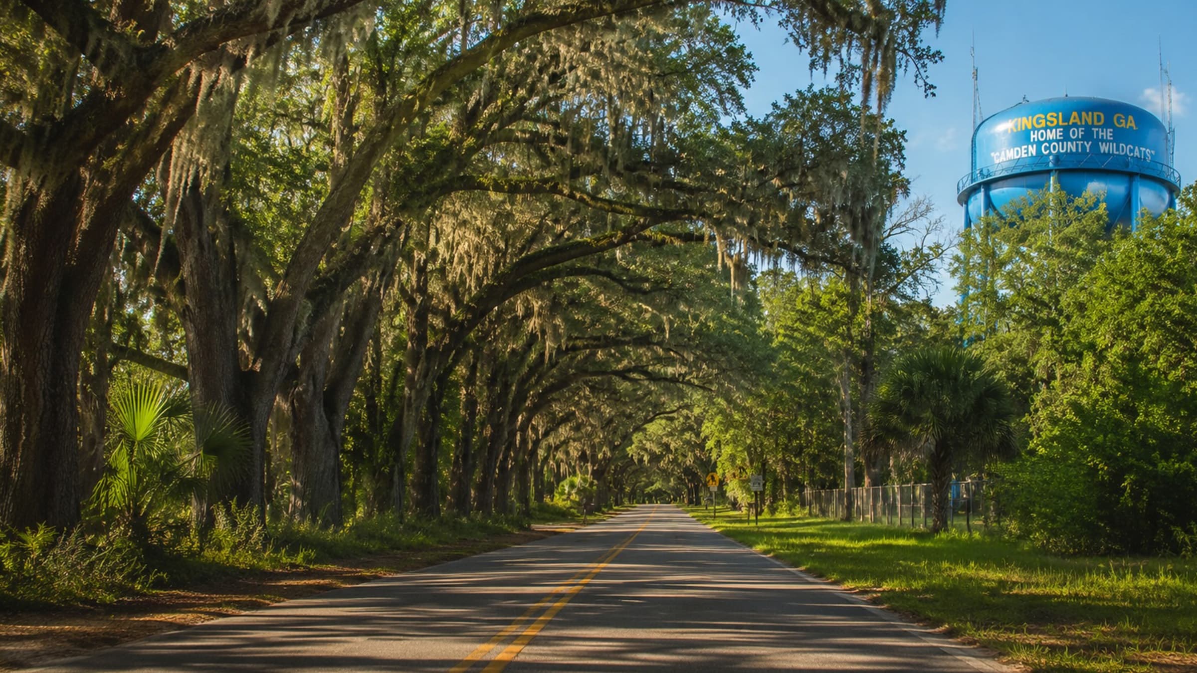 Tree-lined road in Kingsland, Georgia with live oaks draped in Spanish moss and the city's iconic blue water tower in the background.